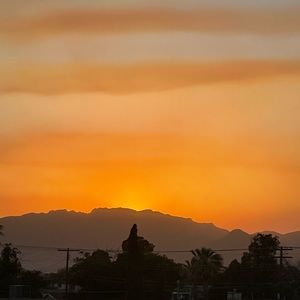 Meet your Posher, Donovan